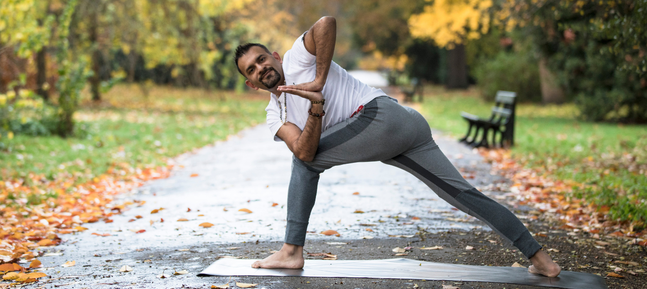 best spine healing course